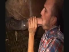 Horny gay swallowing horse creampie after blowjob